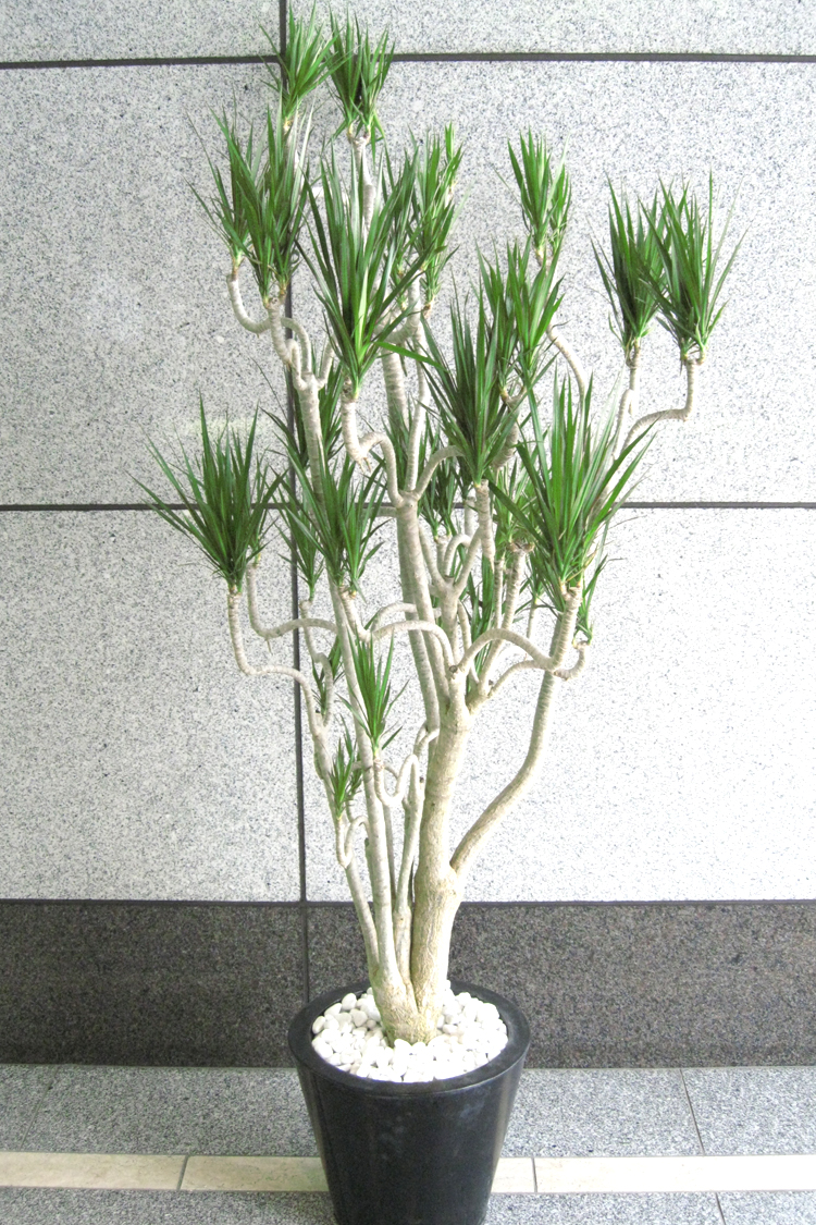 GG-004