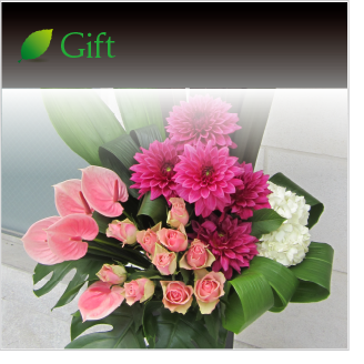 Gift