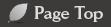 Page Top